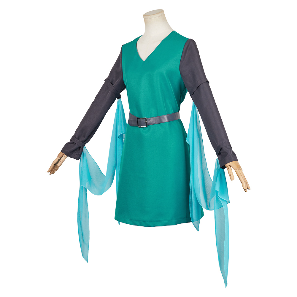FantrenforAdventpointLink Cosp - Anime Cosplay Genre avis et prix